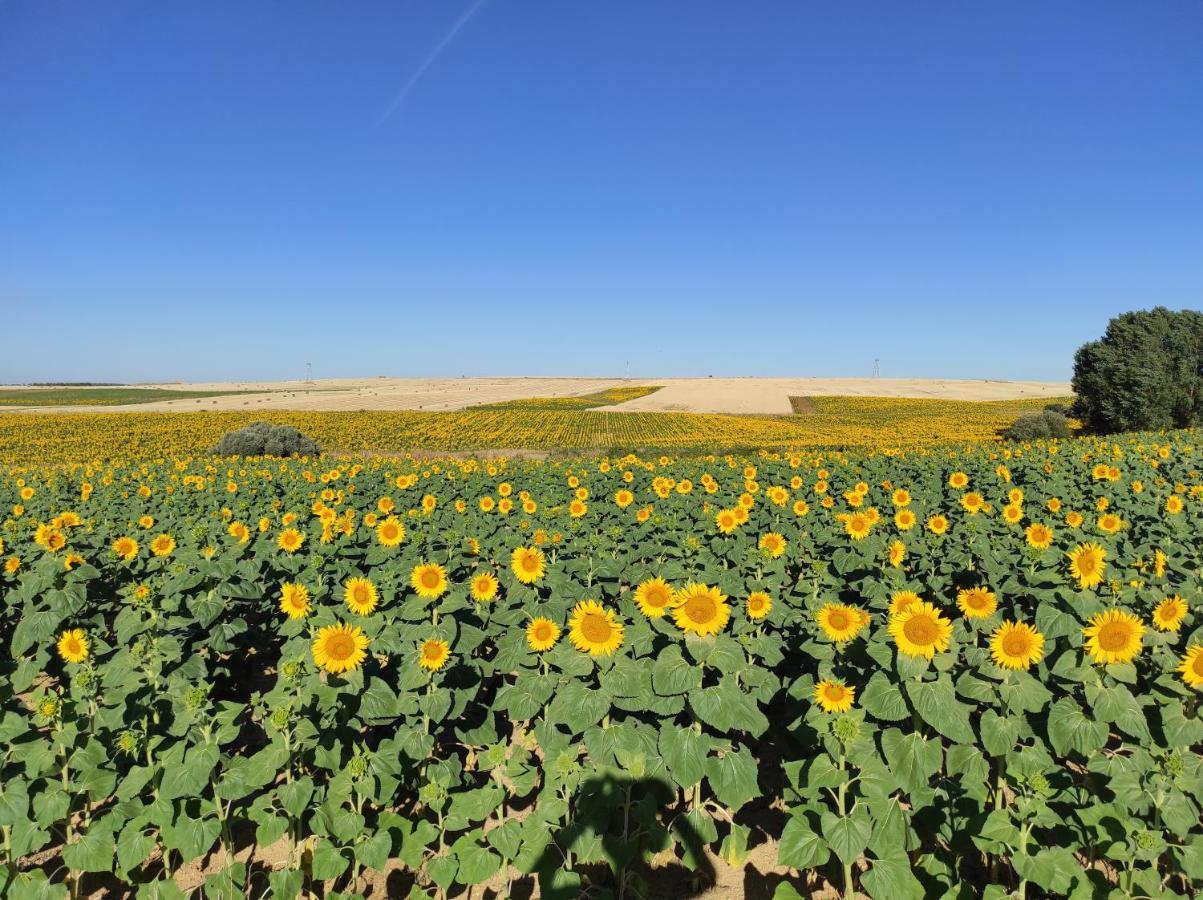 Castellanos de Villiquera Vinarius, Posada Rural מראה חיצוני תמונה