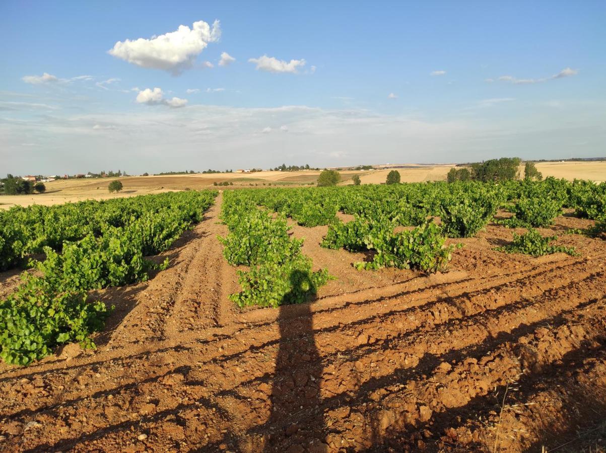 Castellanos de Villiquera Vinarius, Posada Rural מראה חיצוני תמונה