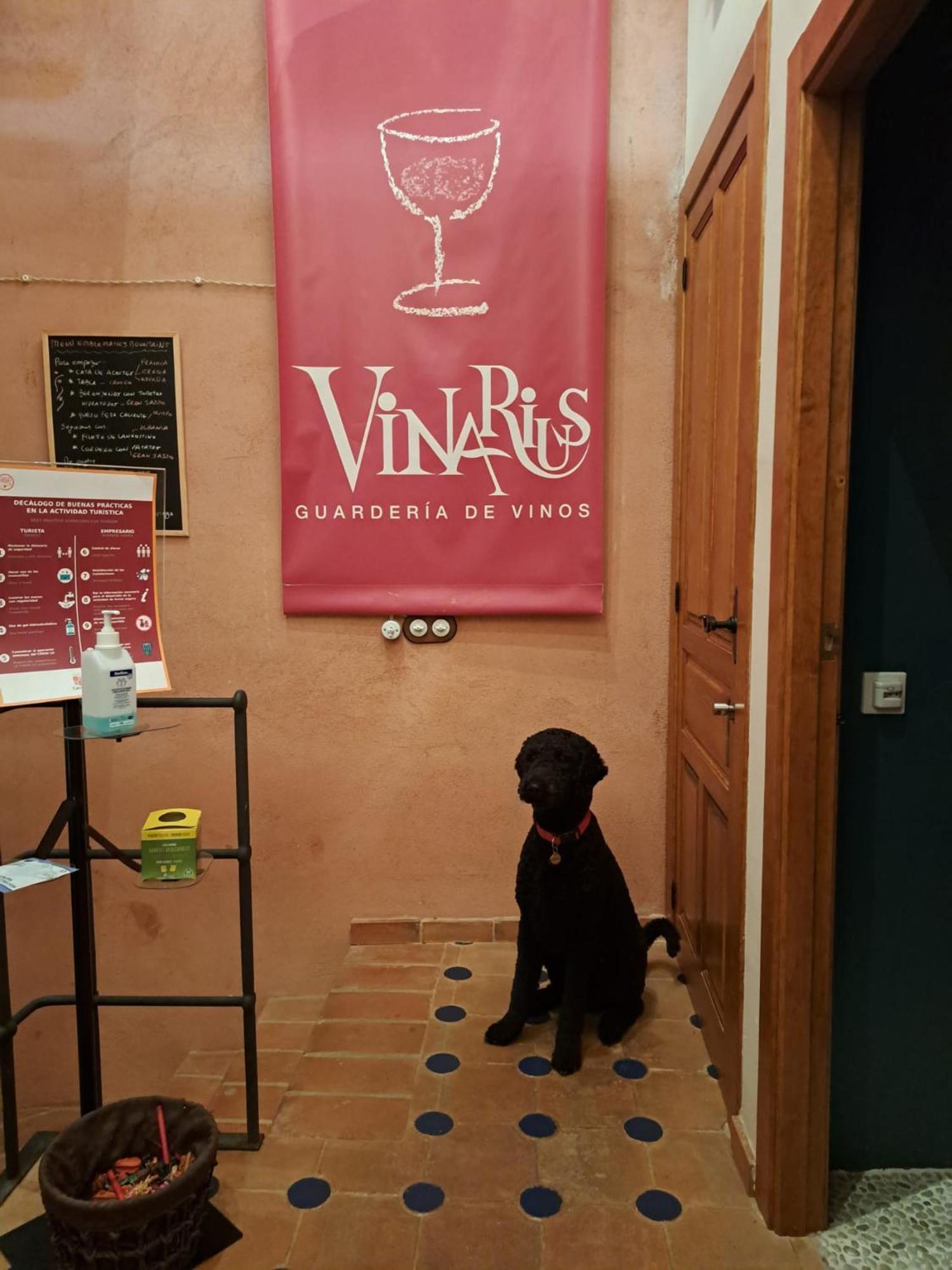 Castellanos de Villiquera Vinarius, Posada Rural מראה חיצוני תמונה